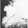 The Sorrow of War