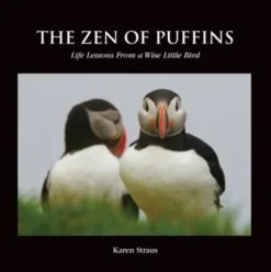 The Zen of Puffins, Life Lessons From a Wise Little Bird