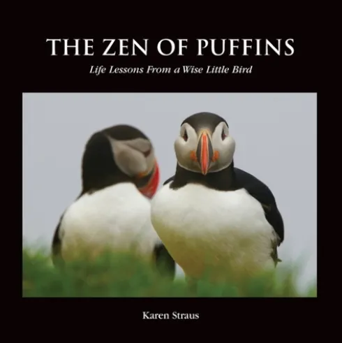 The Zen of Puffins, Life Lessons From a Wise Little Bird