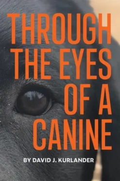 Through the Eyes of a Canine