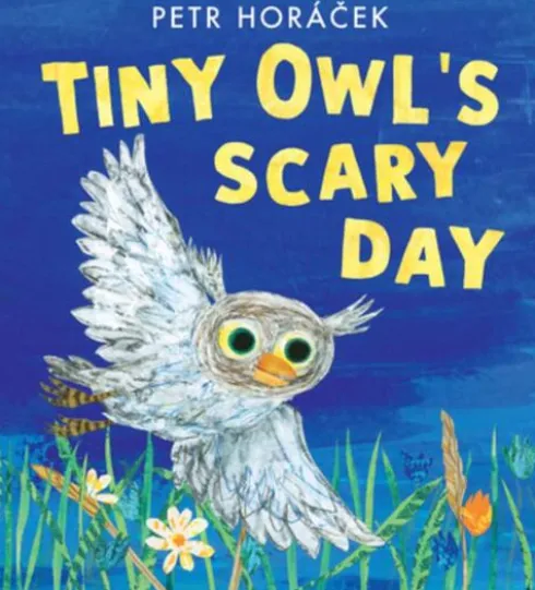 Tiny Owl's Scary Day