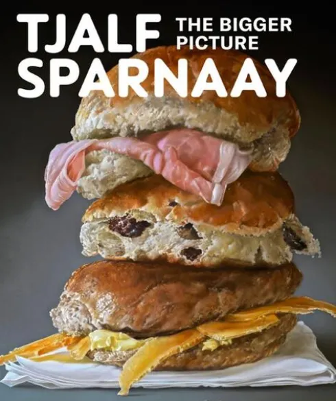 Tjalf Sparnaay - The Bigger Picture