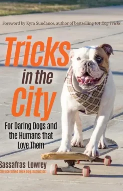 Tricks in the City