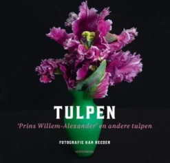 Tulpen