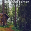 Tussen de bomen
