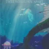 Twee werelden apart