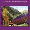 UFO Crash in Brazil