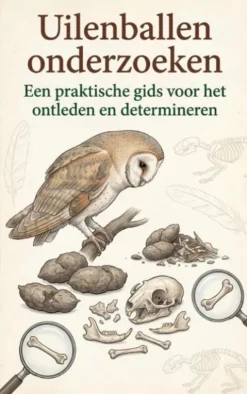 Uilenballen onderzoeken