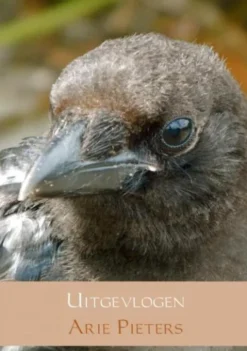 Uitgevlogen