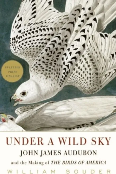 Under a Wild Sky