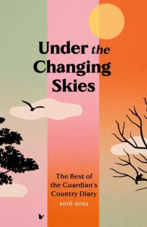 Under the Changing Skies