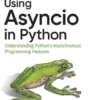 Using Asyncio in Python