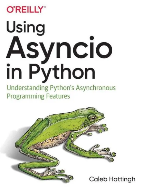 Using Asyncio in Python