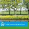 Utrechtse Heuvelrug