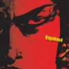 Vagabond (VIZBIG Edition), Vol. 1