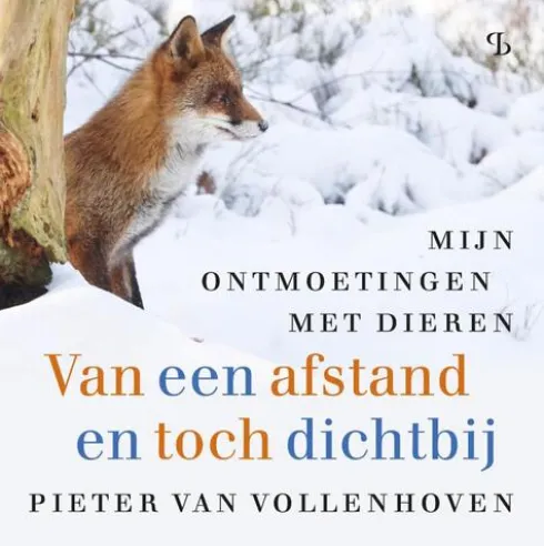 Van een afstand en toch dichtbij