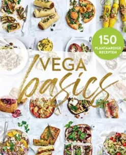 Vega basics