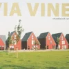 Via Vinex