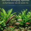 Vissen Als Huisdier