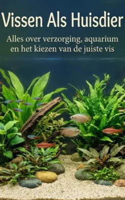 Vissen Als Huisdier