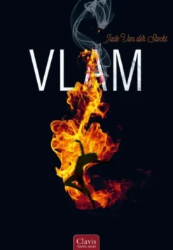 Vlam
