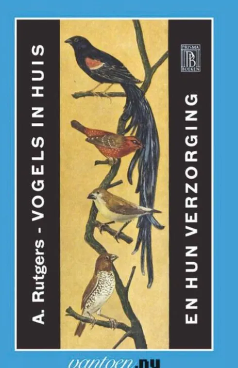 Vogels in huis en hun verzorging