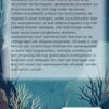 Wat de zeebodem verbergt