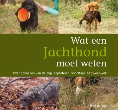 Wat een jachthond moet weten