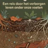 Wat er in de bodem gebeurt