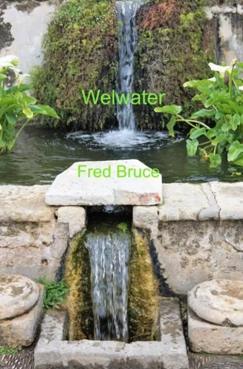Welwater