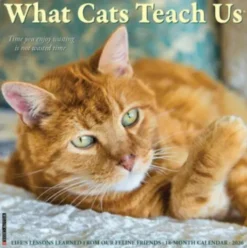 What Cats Teach Us 2026 Mini Wall Calendar