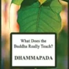 What Does the Buddha Really Teach? DHAMMAPADA: [Pali & English]