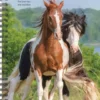 What Horses Teach Us 2024 6.5 X 8.5 Engagement Calendar
