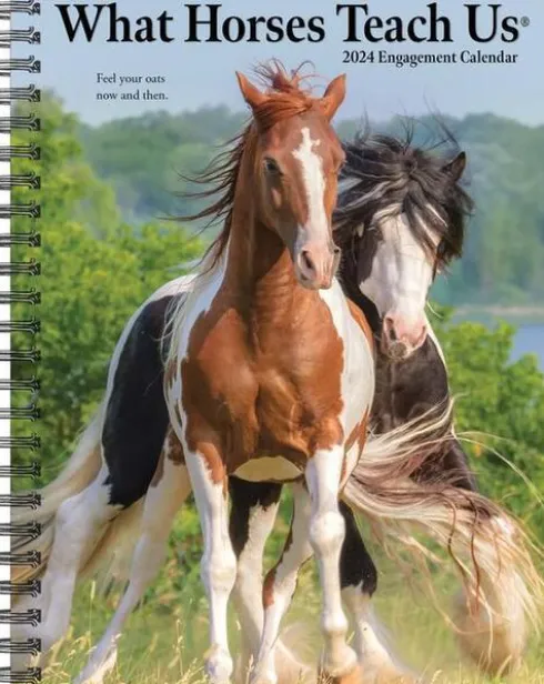 What Horses Teach Us 2024 6.5 X 8.5 Engagement Calendar