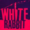 White Rabbit