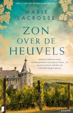 Wijngaard 3 - Zon over de heuvels