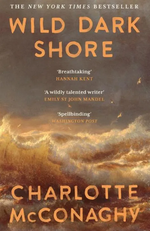 Wild Dark Shore