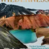 Wilderness: The Most Sensational Natural Places on Earth