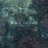 Wild Ocean: A Journey to the Earth's Last Wild Coasts