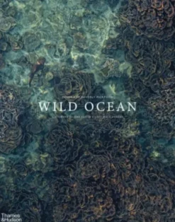 Wild Ocean: A Journey to the Earth's Last Wild Coasts