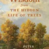 Wisdom from the Hidden Life of Trees