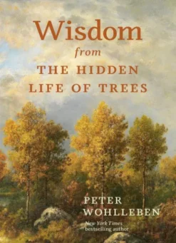 Wisdom from the Hidden Life of Trees