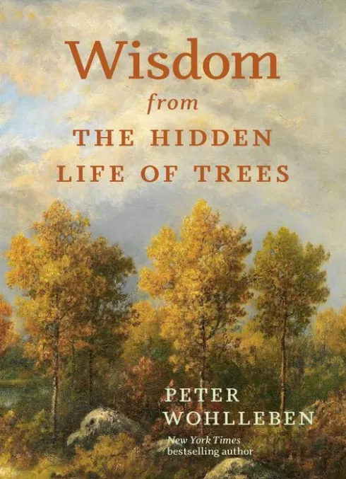 Wisdom from the Hidden Life of Trees