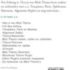 WordPress Blok Thema