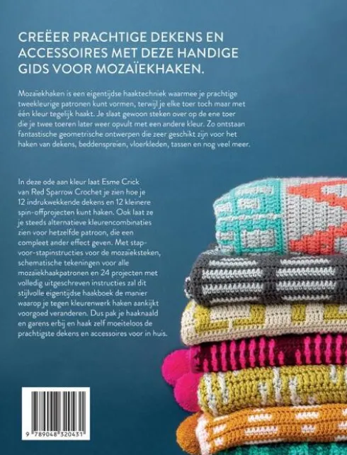 Workshop mozaïekhaken