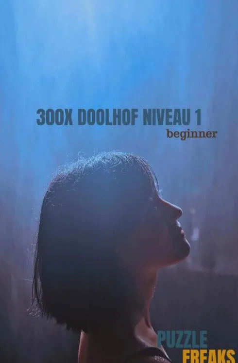 300X Doolhof Niveau 1