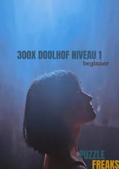 300X Doolhof Niveau 1