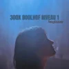 300X Doolhof Niveau 1