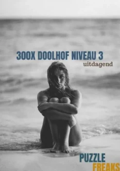 300X Doolhof Niveau 3