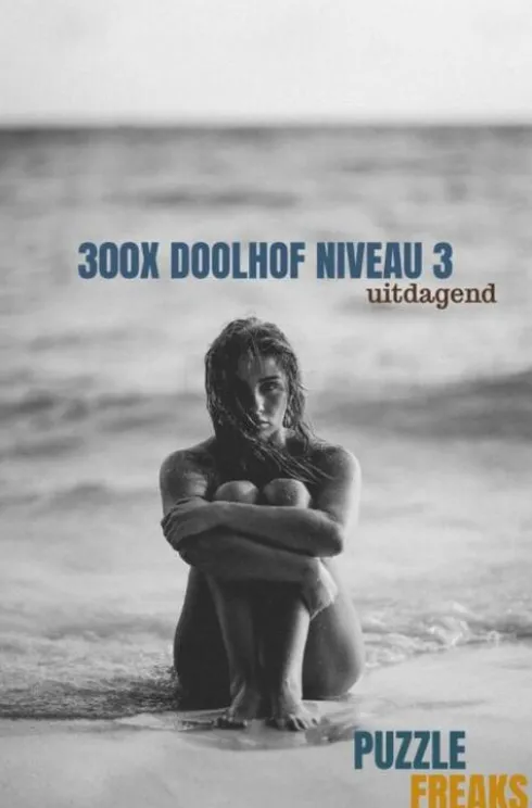 300X Doolhof Niveau 3